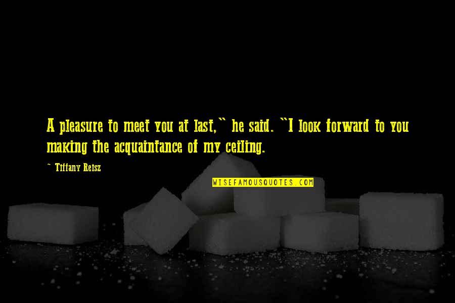 The Ceiling Quotes By Tiffany Reisz: A pleasure to meet you at last," he