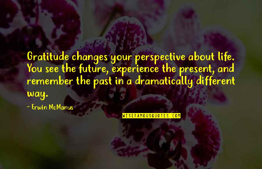 The Changes In Life Quotes By Erwin McManus: Gratitude changes your perspective about life. You see