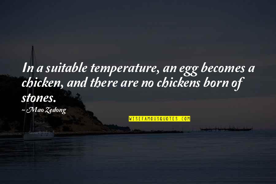 The Chicken Or The Egg Quotes By Mao Zedong: In a suitable temperature, an egg becomes a