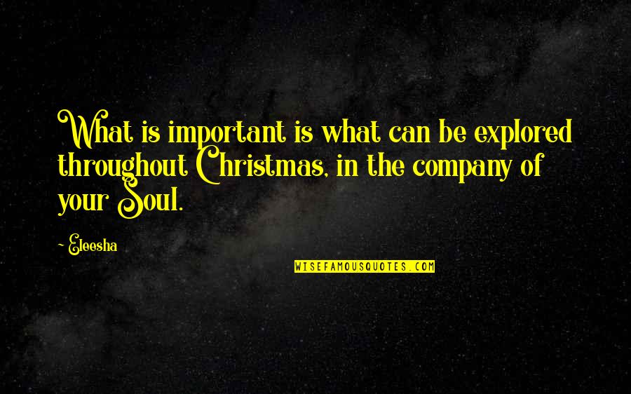 The Christmas Spirit Quotes By Eleesha: What is important is what can be explored