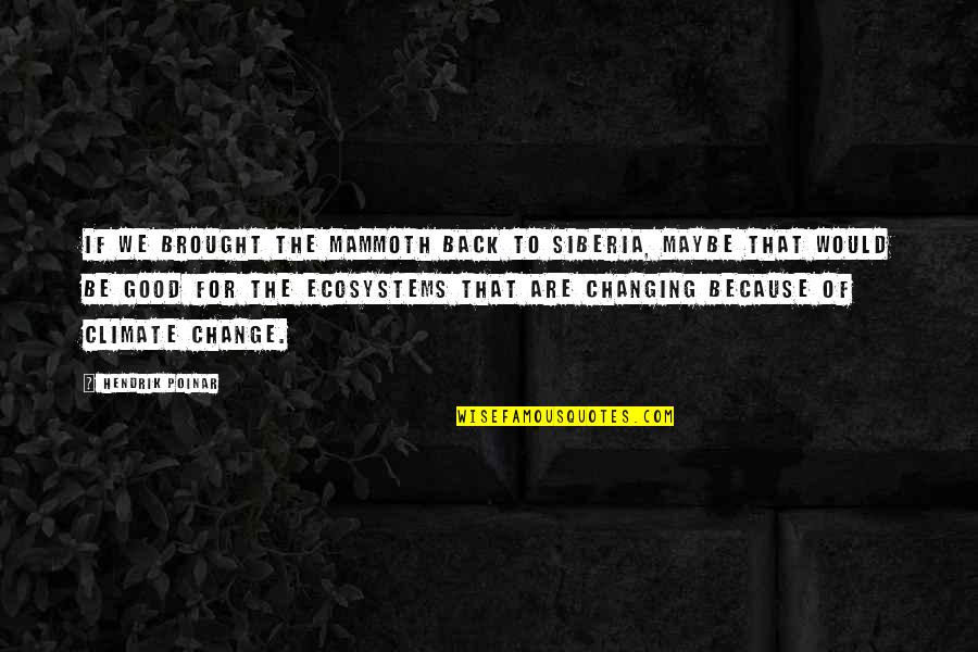 The Climate Quotes By Hendrik Poinar: If we brought the mammoth back to Siberia, The Climate Quotes By Hendrik Poinar: If we brought the mammoth back to Siberia,