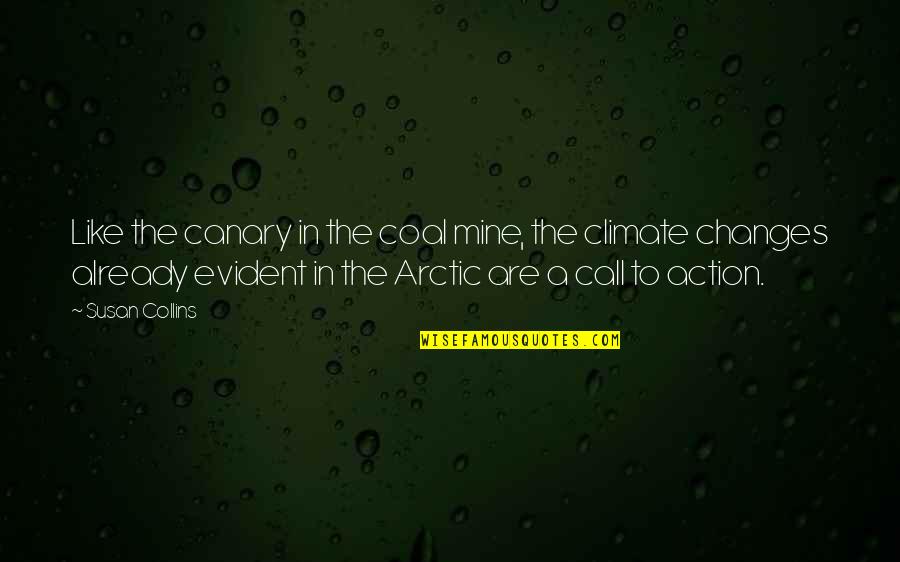 The Climate Quotes By Susan Collins: Like the canary in the coal mine, the The Climate Quotes By Susan Collins: Like the canary in the coal mine, the