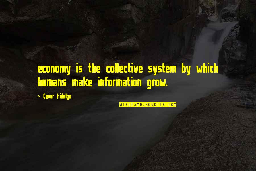 The Collective Quotes By Cesar Hidalgo: economy is the collective system by which humans