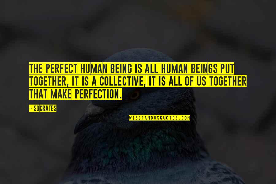 The Collective Quotes By Socrates: The perfect human being is all human beings