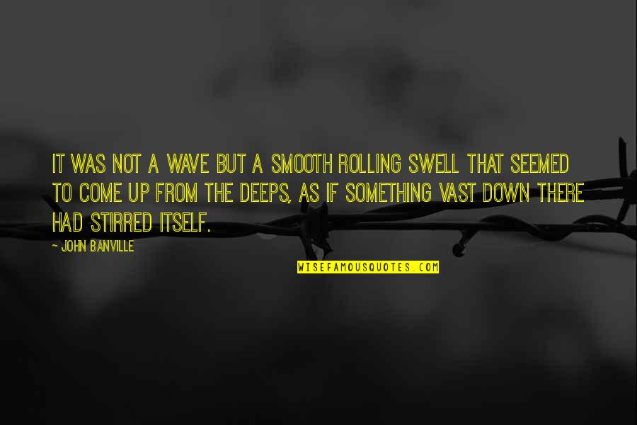 The Come Up Quotes By John Banville: It was not a wave but a smooth