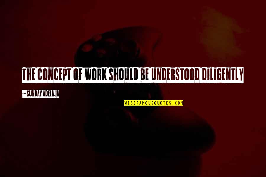 The Concept Of Life Quotes By Sunday Adelaja: The concept of work should be understood diligently