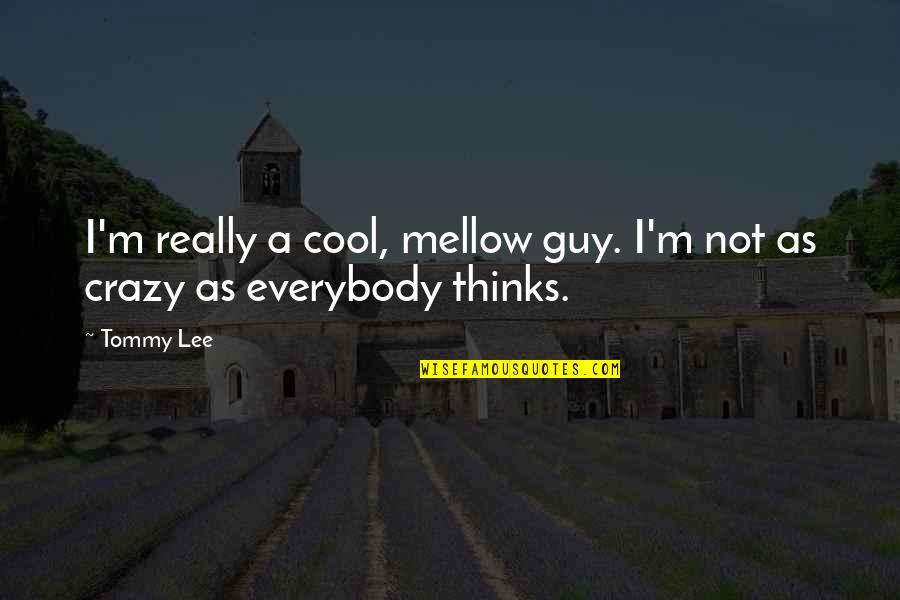 The Cool Guy Quotes By Tommy Lee: I'm really a cool, mellow guy. I'm not