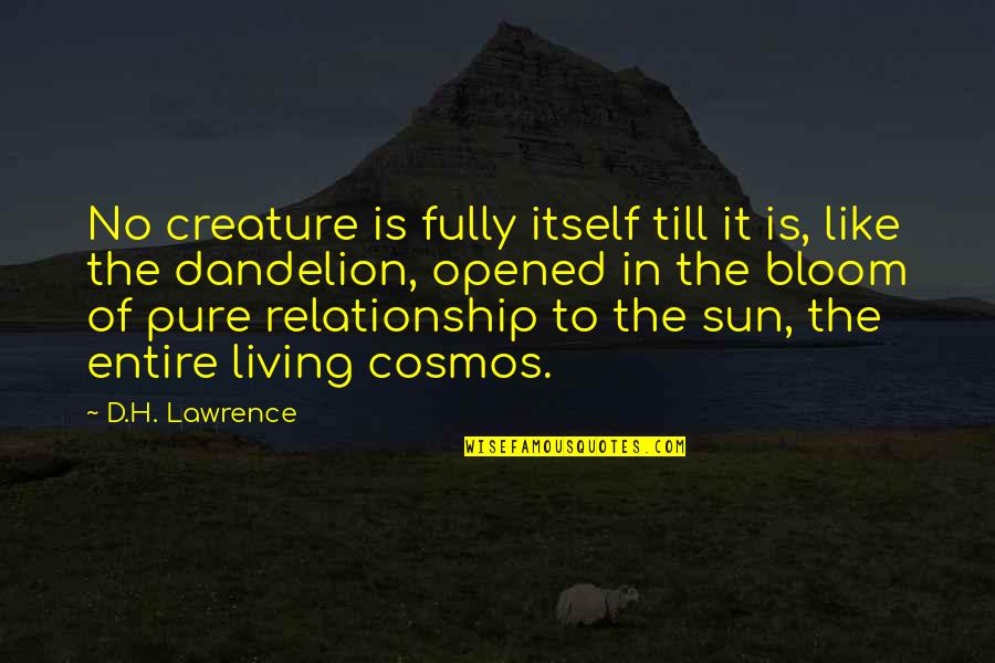 The Cosmos Quotes By D.H. Lawrence: No creature is fully itself till it is, The Cosmos Quotes By D.H. Lawrence: No creature is fully itself till it is,
