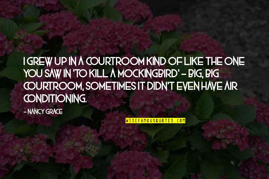 The Courtroom In To Kill A Mockingbird Quotes By Nancy Grace: I grew up in a courtroom kind of