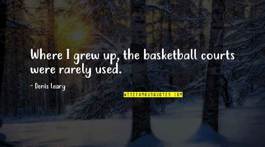 The Courts Quotes By Denis Leary: Where I grew up, the basketball courts were