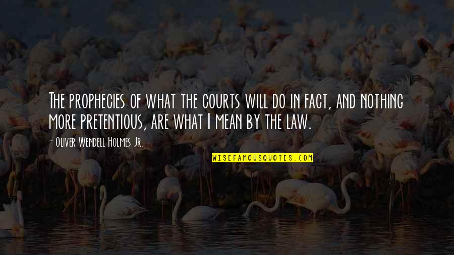 The Courts Quotes By Oliver Wendell Holmes Jr.: The prophecies of what the courts will do