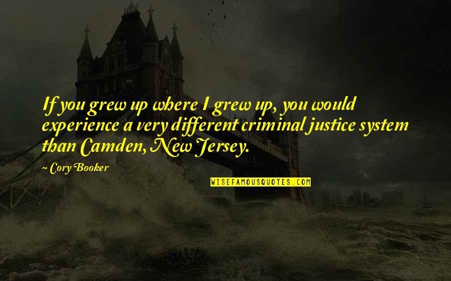 The Criminal Justice System Quotes By Cory Booker: If you grew up where I grew up,