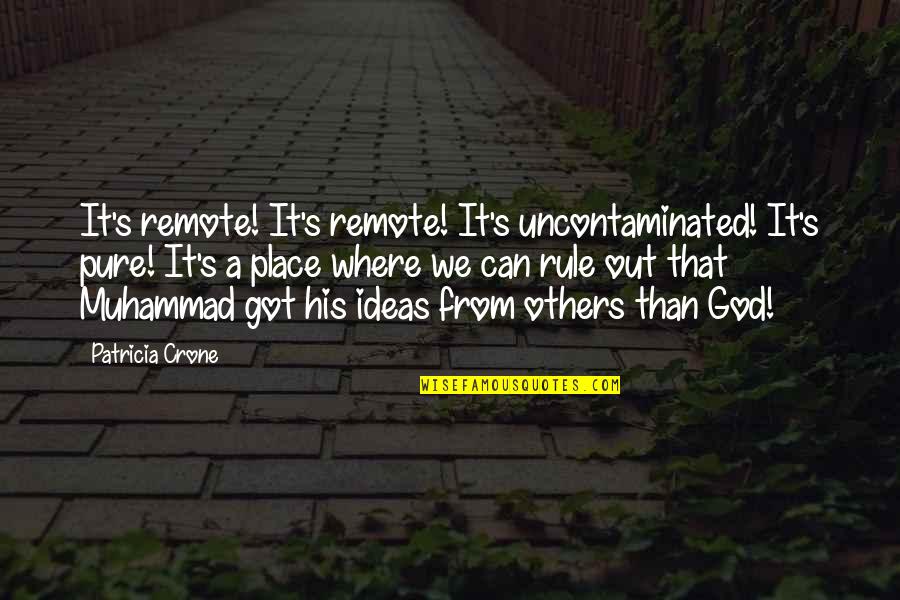 The Crone Quotes By Patricia Crone: It's remote! It's remote! It's uncontaminated! It's pure!