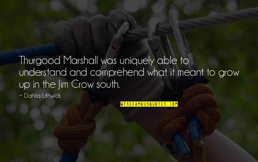 The Crow Quotes By Dahlia Lithwick: Thurgood Marshall was uniquely able to understand and