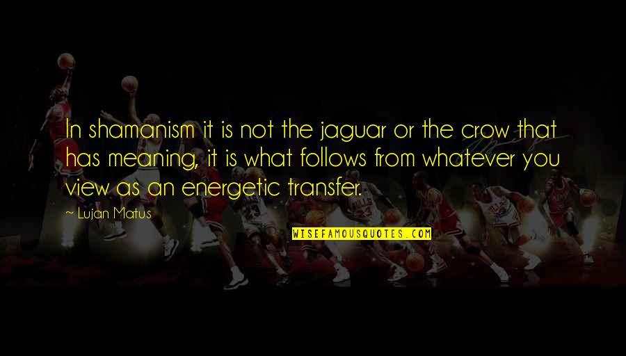 The Crow Quotes By Lujan Matus: In shamanism it is not the jaguar or