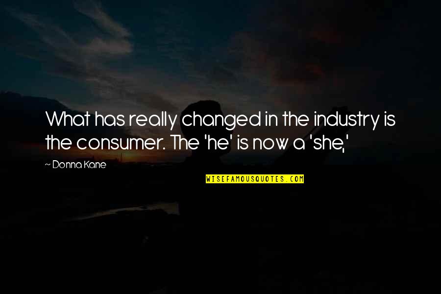 The Crucible Abigail Evil Quotes By Donna Kane: What has really changed in the industry is