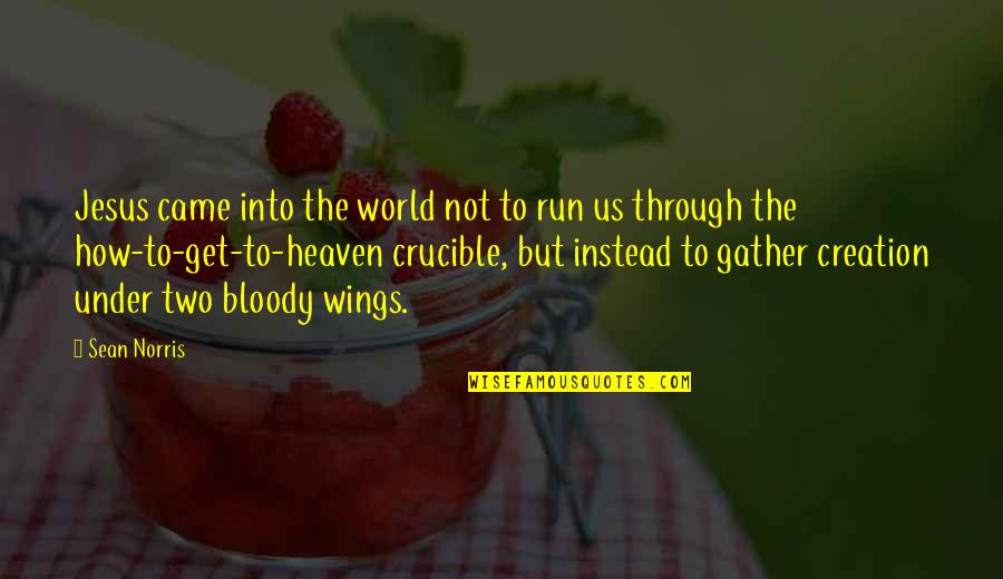 The Crucible Best Quotes By Sean Norris: Jesus came into the world not to run The Crucible Best Quotes By Sean Norris: Jesus came into the world not to run