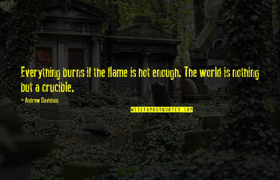 The Crucible Quotes By Andrew Davidson: Everything burns if the flame is hot enough.