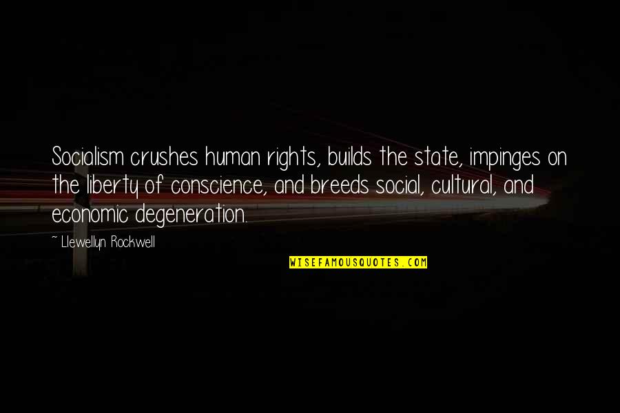The Crush Quotes By Llewellyn Rockwell: Socialism crushes human rights, builds the state, impinges
