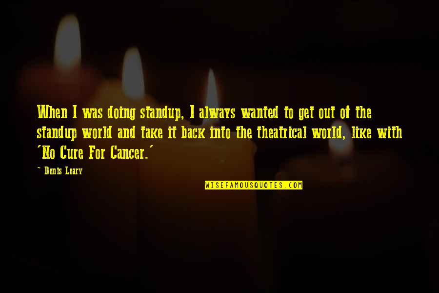 The Cure For Cancer Quotes By Denis Leary: When I was doing standup, I always wanted