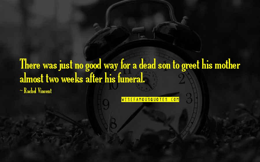 The Cute Cat Quotes By Rachel Vincent: There was just no good way for a