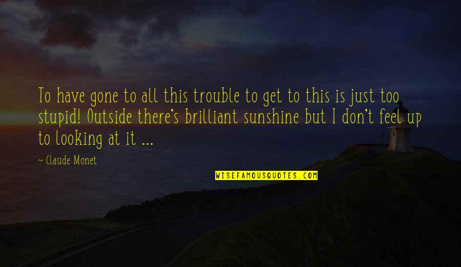 The Dark Knight Famous Quotes By Claude Monet: To have gone to all this trouble to