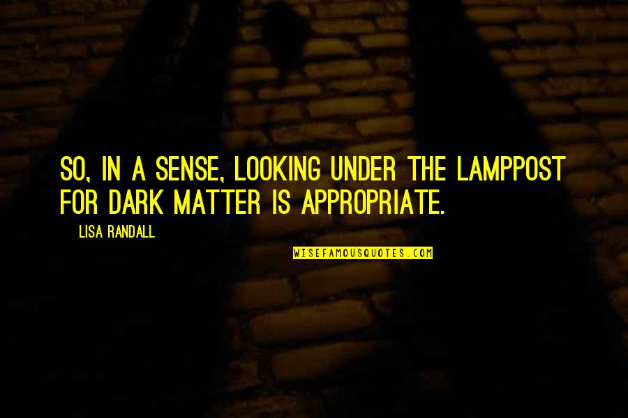The Dark Matter Quotes By Lisa Randall: So, in a sense, looking under the lamppost