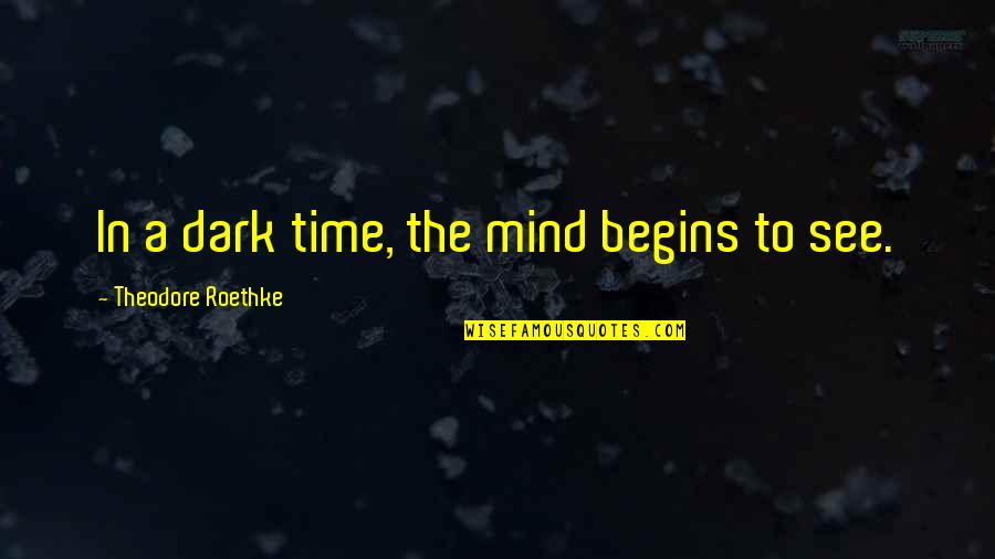 The Dark Times Quotes By Theodore Roethke: In a dark time, the mind begins to