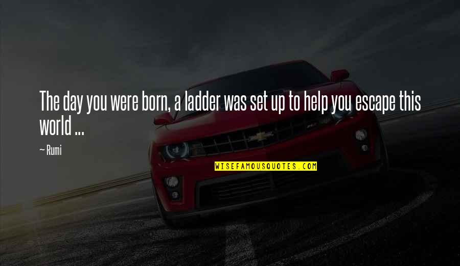 The Day You Was Born Quotes By Rumi: The day you were born, a ladder was