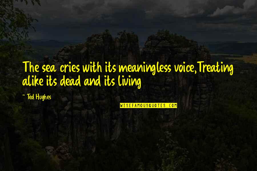 The Dead Sea Quotes By Ted Hughes: The sea cries with its meaningless voice,Treating alike