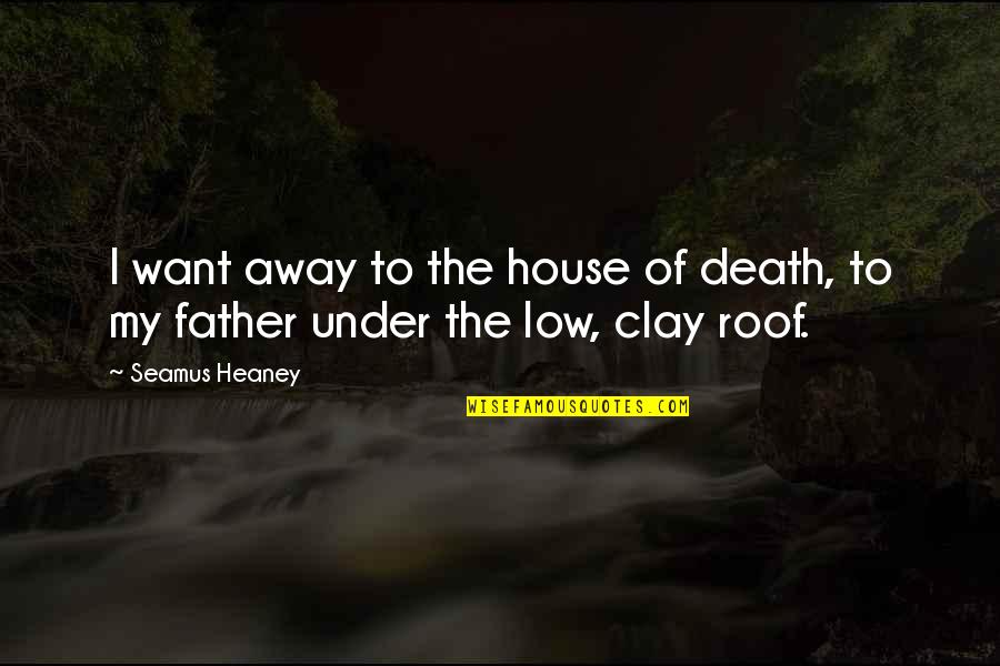 The Death Of A Father Quotes By Seamus Heaney: I want away to the house of death,