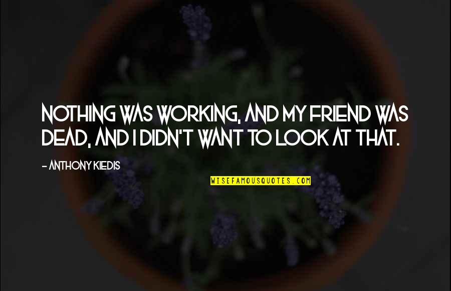 The Death Of A Friend Quotes By Anthony Kiedis: Nothing was working, and my friend was dead,