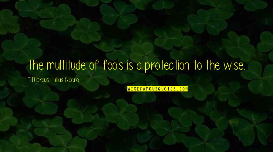 The Death Of A Pet Quotes By Marcus Tullius Cicero: The multitude of fools is a protection to The Death Of A Pet Quotes By Marcus Tullius Cicero: The multitude of fools is a protection to