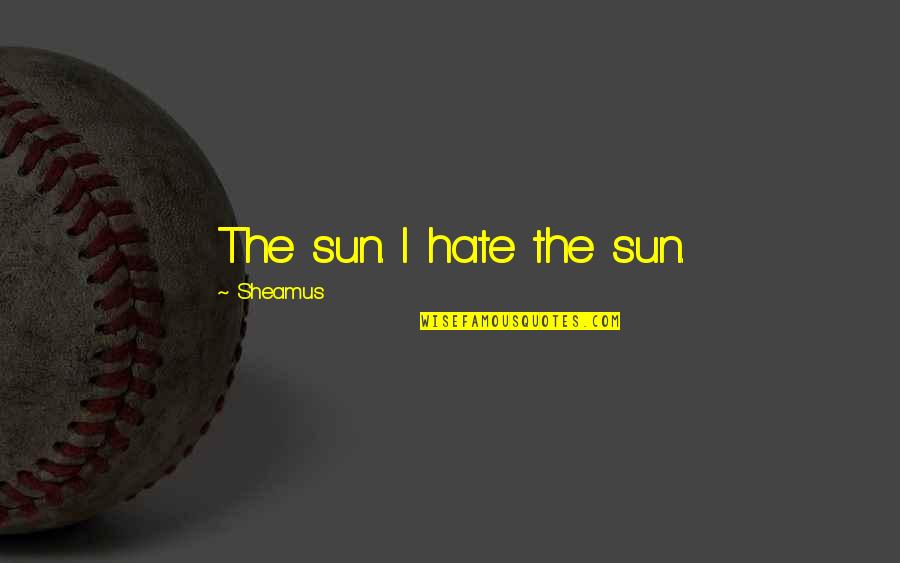 The Decline Of America Quotes By Sheamus: The sun. I hate the sun.