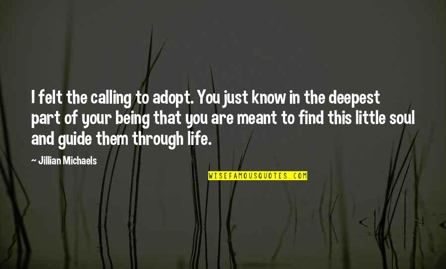 The Deepest Life Quotes By Jillian Michaels: I felt the calling to adopt. You just The Deepest Life Quotes By Jillian Michaels: I felt the calling to adopt. You just