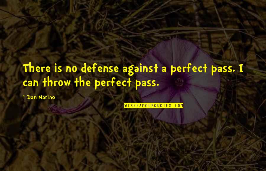 The Defense Quotes By Dan Marino: There is no defense against a perfect pass.