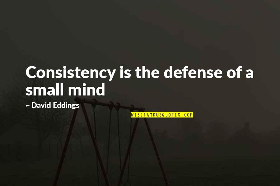 The Defense Quotes By David Eddings: Consistency is the defense of a small mind