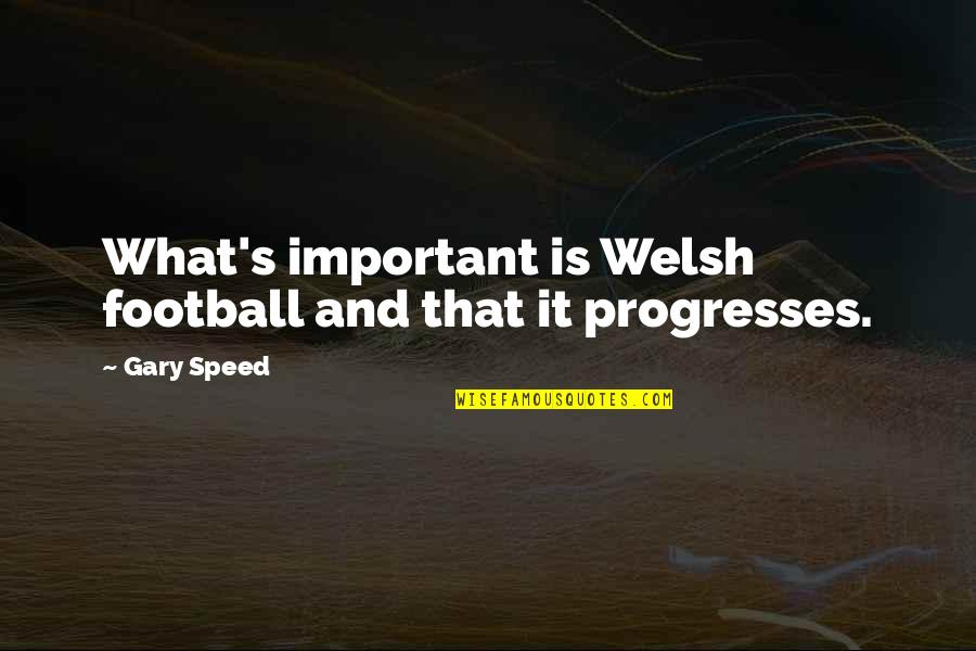 The Delta Blues Quotes By Gary Speed: What's important is Welsh football and that it