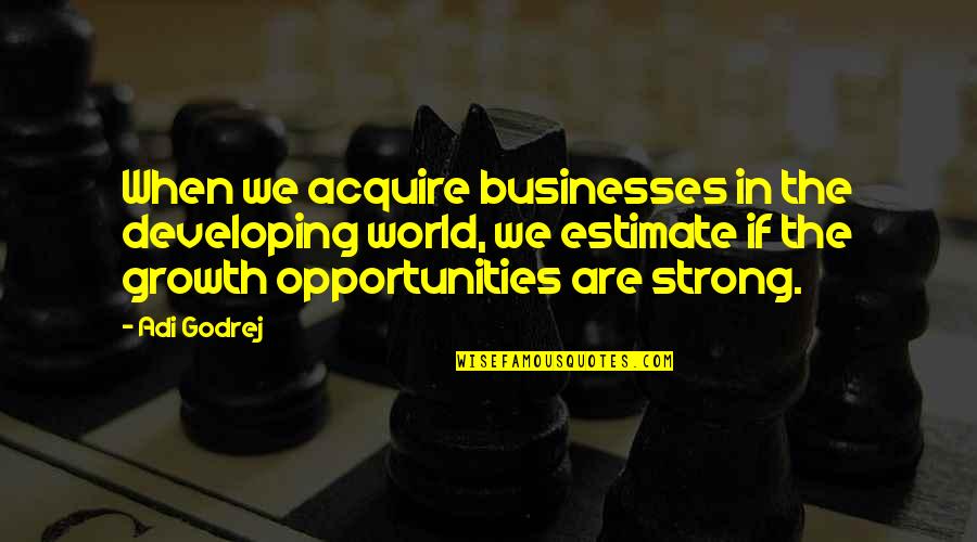 The Developing World Quotes By Adi Godrej: When we acquire businesses in the developing world,