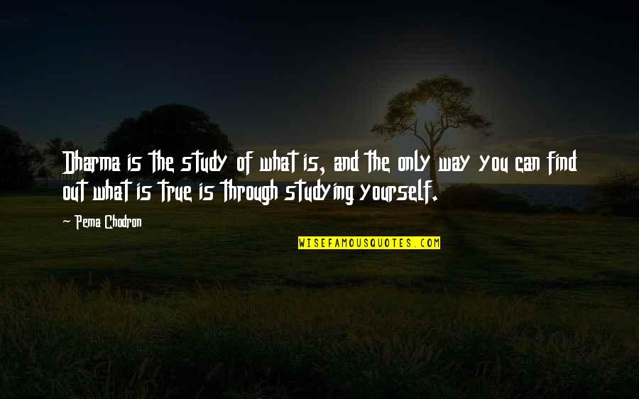 The Dharma Quotes By Pema Chodron: Dharma is the study of what is, and The Dharma Quotes By Pema Chodron: Dharma is the study of what is, and