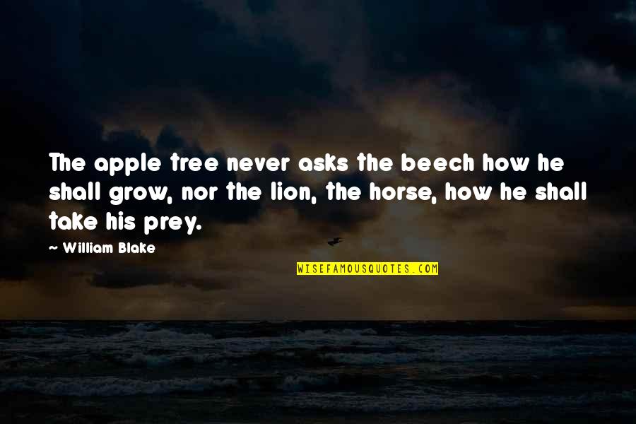 The Dharma Quotes By William Blake: The apple tree never asks the beech how The Dharma Quotes By William Blake: The apple tree never asks the beech how