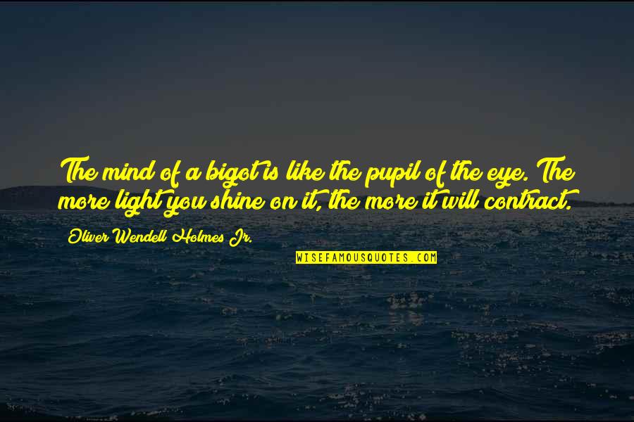 The Difference Is In The Details Quotes By Oliver Wendell Holmes Jr.: The mind of a bigot is like the The Difference Is In The Details Quotes By Oliver Wendell Holmes Jr.: The mind of a bigot is like the