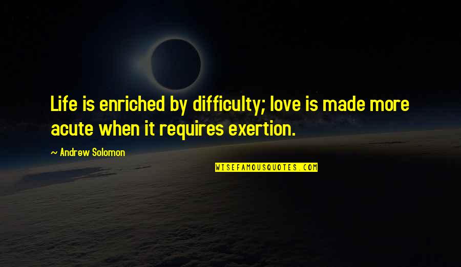 The Difficulty Of Love Quotes By Andrew Solomon: Life is enriched by difficulty; love is made