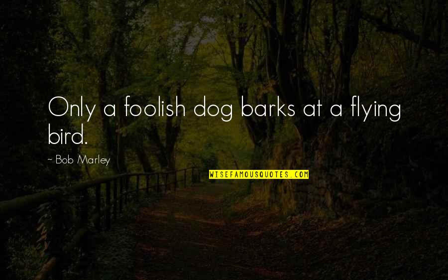 The Dog Barks Quotes By Bob Marley: Only a foolish dog barks at a flying