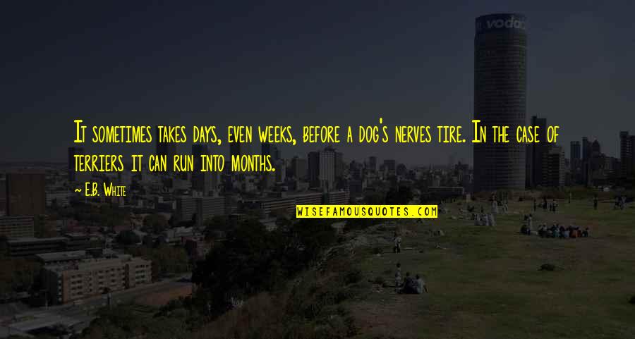 The Dog Days Quotes By E.B. White: It sometimes takes days, even weeks, before a The Dog Days Quotes By E.B. White: It sometimes takes days, even weeks, before a