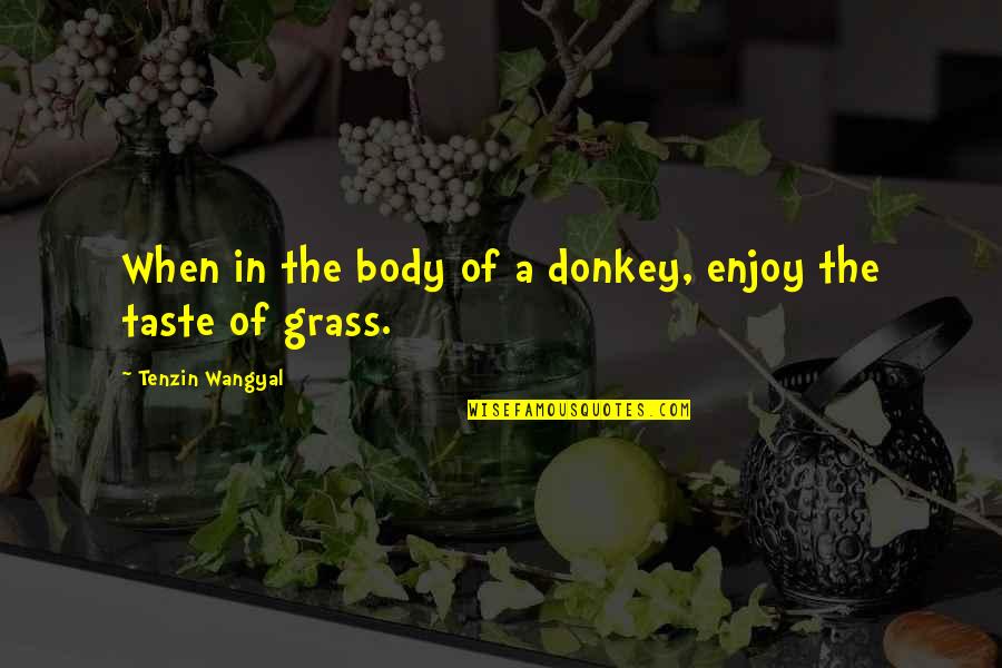 The Donkey Quotes By Tenzin Wangyal: When in the body of a donkey, enjoy