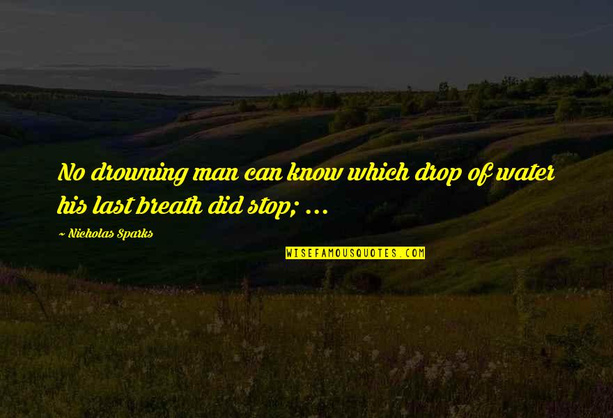 The Drowning Man Quotes By Nicholas Sparks: No drowning man can know which drop of