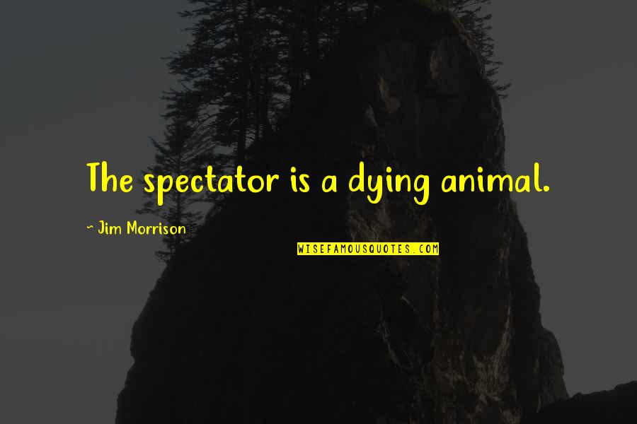 The Dying Animal Quotes By Jim Morrison: The spectator is a dying animal.