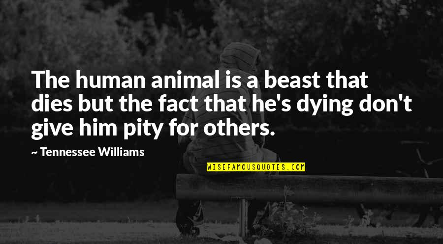 The Dying Animal Quotes By Tennessee Williams: The human animal is a beast that dies