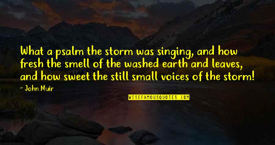 The Earth And Nature Quotes By John Muir: What a psalm the storm was singing, and